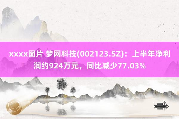 xxxx图片 梦网科技(002123.SZ)：上半年净利润约924万元，同比减少77.03%