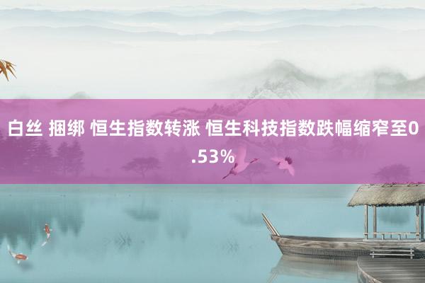 白丝 捆绑 恒生指数转涨 恒生科技指数跌幅缩窄至0.53%