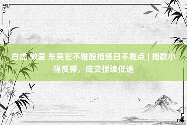 白虎 做爱 东吴宏不雅股指逐日不雅点 | 指数小幅反弹，成交捏续低迷