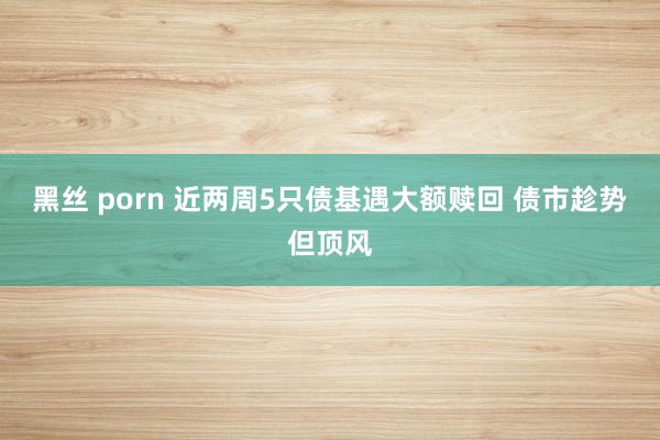 黑丝 porn 近两周5只债基遇大额赎回 债市趁势但顶风