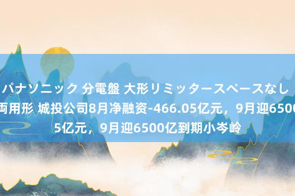 パナソニック 分電盤 大形リミッタースペースなし 露出・半埋込両用形 城投公司8月净融资-466.05亿元，9月迎6500亿到期小岑岭