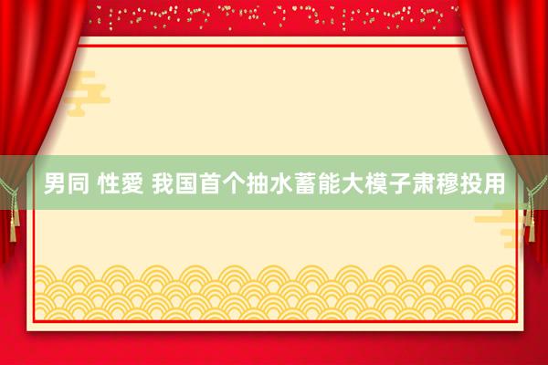 男同 性愛 我国首个抽水蓄能大模子肃穆投用
