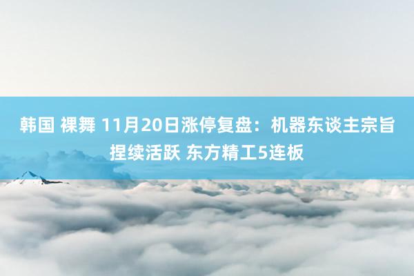 韩国 裸舞 11月20日涨停复盘：机器东谈主宗旨捏续活跃 东方精工5连板