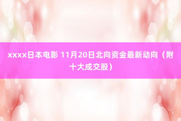 xxxx日本电影 11月20日北向资金最新动向（附十大成交股）
